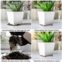 Winter Shore Dessous de Pot de Fleur en Liège Invisibles (Lot de 60) - 5 x 1,5 cm Cale Pot de Fleur - Antidérapants - Jardinière