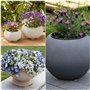 Winter Shore Dessous de Pot de Fleur en Liège Invisibles (Lot de 60) - 5 x 1,5 cm Cale Pot de Fleur - Antidérapants - Jardinière
