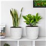Winter Shore Pots de Fleurs Exterieur & Intérieurs (Lot de 3) - Pot de Fleur Blanc Moucheté Durables avec Trous de Drainage & So