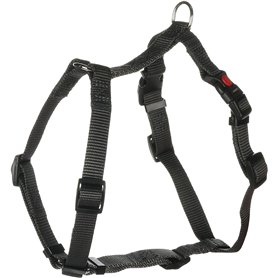 Flamingo Harnais pour Chien H Ziggi Gris foncé S - 35 à 50cm 15mm - Réglable en continu - avec Anneau pour Attacher Une Laisse -