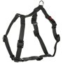 Flamingo Harnais pour Chien H Ziggi Gris foncé S - 35 à 50cm 15mm - Réglable en continu - avec Anneau pour Attacher Une Laisse -
