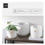 J-Line by Jolipa Cache-Pot Chaton en Ciment Blanc et Or de Grande Taille