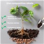 Terre d'Auguste - Terreau pour Plantes Aromatiques et Aromates 6L - Qualité Supérieure pour Potager et Plantes d'Intérieur - Bas