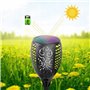 FOREVER Torche de Jardin à LED alimentée par l'énergie Solaire/Lampe d'extérieur pour Chemin de Jardin / 33 LED / IP65 / 10 cm d