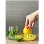 BranQ Home essential Presse-agrumes en Tritan, transparent, 13 x 14,5 x 7 cm