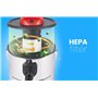 LEHMANN Haddo Aspirateur Industriel 2000W | pour cheminée avec Double système de Filtration | Sec Humide avec réservoir de 20 li