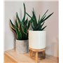 Pot décoratif pour plantes d'intérieur et d'