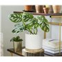 KOTARBAU® Pot de fleurs cylindrique en céramique Blanc Ø 13 cm avec base en bambou, Pot décoratif pour plantes d'intérieur et d'
