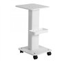 Chariot pour Salons de Coiffure et Massage - Table de Cosmétique à Roulettes - Maquillage et Esthétique