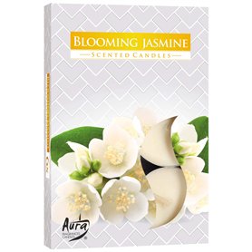 Lot de 6 bougies parfumées senteur fleur de jasmin