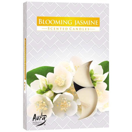 Lot de 6 bougies parfumées senteur fleur de jasmin
