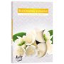 Lot de 6 bougies parfumées senteur fleur de jasmin
