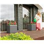 RATTANART SG03710RD17 Plantoir à oignons Gris Clair