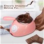 Pluuttiem Fondeur de Chocolat Électrique avec Moule à Faire Soi-Même et Accessoires, pour Fondue au Lait et au Fromage, Prise UE