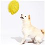 PAGJHRFJG Balle à Mâcher pour Chien ETPU Volants à Haute Élasticité pour Chiens Accessoires Jouet de Nettoyage des Dents Fournit
