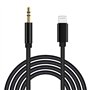 [Certifié Apple MFi] Lightning 3