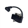 DNDJJM Module de Bobine d'allumage magnéto Compatible avec Husqvarna 435 440 440E 445 450 450E Compatible avec Les tronçonneuses
