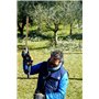 WORX - Accessoires tête taille-haies - WA0308 - adaptable pour scie sur perche WG349E.9/WG349E