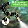 Amphibiens et Rainforest