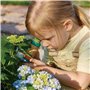 Hape Microscope pour Enfants Scientifique - Microscope Portable en Bambou Adapté aux Enfants de 4 Ans et Plus - Grossissement En