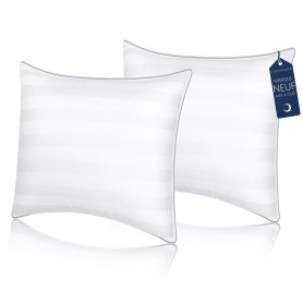 COZSINOOR Oreiller 65x65 cm Lot de 2