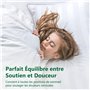 Qualité Hotellerie de Luxe Oreiller Lot de 2 Oreillers Confort Moelleux Hypo Allergéniques