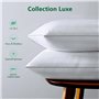 COZSINOOR Oreiller 65x65 cm Lot de 2, Qualité Hotellerie de Luxe Oreiller Lot de 2 Oreillers Confort Moelleux Hypo Allergéniques