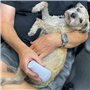 LumaSoothe 2 luminothérapie pour chiens et animaux de compagnie – Thérapie par lumière LED pour soulager la douleur, les douleur