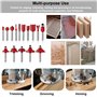 Kit de Fraises à Araser Fraises defonceuse 6,35mm Coffret de 15 Fraises à Rainurer Bois en Carbure de Tungstène avec Tige, avec 