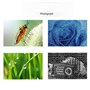 Compatible avec Android