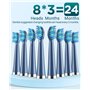 Brosses à Dents É