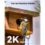 PIR & AI Détection Humaine