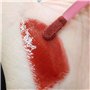 200 Pièces Pinceaux Lèvre Jetables, Applicateur de Rouge à Lèvres, Brosse pour Brillant à Lèvre Jetable