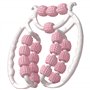 Rouleau de jambe 1PC