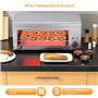 Gril à Steak éLectrique 2000 W, Appareil à Fondre Le Fromage En Acier Inoxydable - Plaque De Cuisson Automatique Pour Poissons E