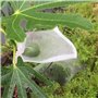 Sac Barrière for Fruits