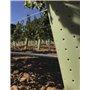 PLANTAWA Tube Protecteur d'arbre 60cm Pack 20 PCs | Tube Plastique Flexible Protection Intégrale des Cultures | Protection du Co