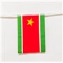 Pandiui23 Drapeau Guadeloupe 40 pièces Drapeau Guadeloupe Guirlande Guadeloupe 11,4 m Fanions Guadeloupe Drapeau national 14 x 2