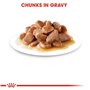 Royal Canin Instinctive Gravy | 12 x 85 g | Nourriture humide pour chats adultes | Petits morceaux en sauce | Pour soutenir un m
