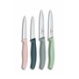 Victorinox Swiss Classic