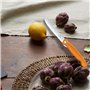 Couteau à tomates et de table professionnel