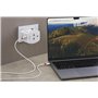 SKROSS - MUV AC45PD avec Câble Type C (160 cm) - Adaptateur Universel Type C et 1 x Type A 45 W - Tension et Puissance: 100V - 2