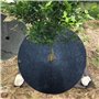 ASSR Lot de 12 tapis de protection contre les mauvaises herbes - 42 cm
