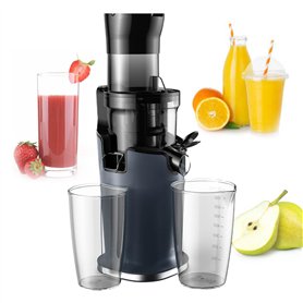 pealiritansemen Extracteur De Jus À Pression À Froid