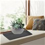 CAKEEYUM 5 PCS Plateaux de Plantes pour Pots Soucoupe de Plante rectangulaire en Plastique Plateaux d'égouttement Plantes étanch