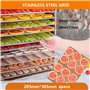 forplubossmmp Séchoir Électrique pour Aliments, Déshydrateur D'aliments Et Machine De Séchage De Viande De Fruits, Machine De Sé