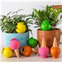 Pieux D'arrosage des Plantes