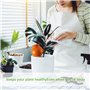 RAZURE Pack de 4 Pointes Auto-arrosantes en Terre Cuite, Pieux D'arrosage des Plantes, Pieux D'autoarrosage Décoratifs de 430ml,