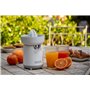 Ariete Extracteur de Jus 418, Extracteur de Jus d'Agrumes Électrique avec 2 Cônes pour Petits et Gros Fruits, Bec Verseur Anti-G