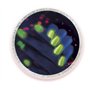 Clementoni- Laboratorio Nail Lab – Expériences Science, Laboratoire Fille, kit pour réaliser des Vernis, Jeu Scientifique 8 Ans,